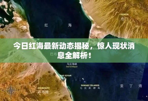 今日红海最新动态揭秘，惊人现状消息全解析！