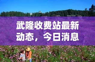 武隆收费站最新动态，今日消息全解析