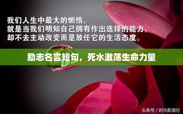 励志名言短句，死水激荡生命力量
