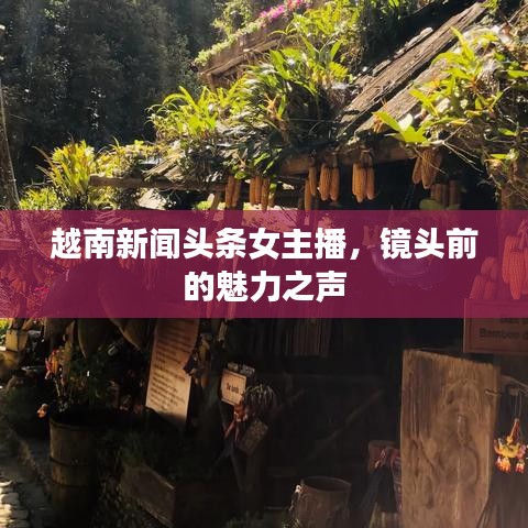 越南新闻头条女主播，镜头前的魅力之声