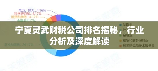 宁夏灵武财税公司排名揭秘，行业分析及深度解读