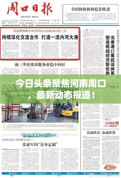 今日头条聚焦河南周口，最新动态报道！