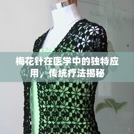 梅花针在医学中的独特应用，传统疗法揭秘