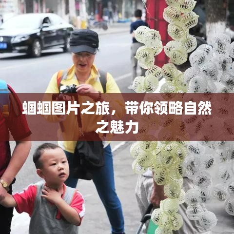 蝈蝈图片之旅，带你领略自然之魅力