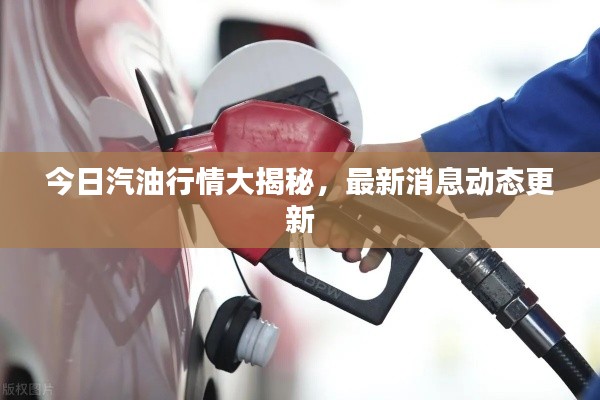 今日汽油行情大揭秘，最新消息动态更新