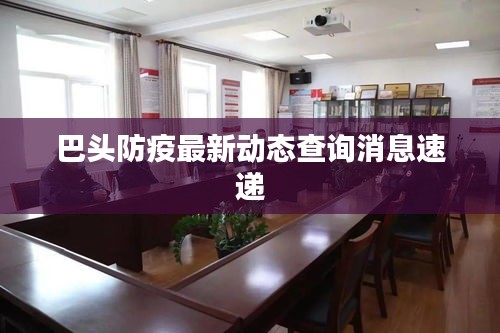 巴头防疫最新动态查询消息速递