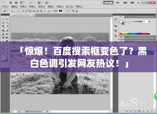「惊爆！百度搜索框变色了？黑白色调引发网友热议！」