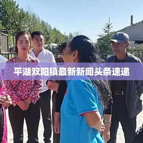 平湖双阳镇最新新闻头条速递