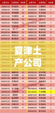夏津土产公司行业地位及影响力深度解析，排名背后的市场影响力与影响力揭秘