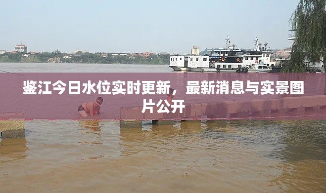 鉴江今日水位实时更新，最新消息与实景图片公开