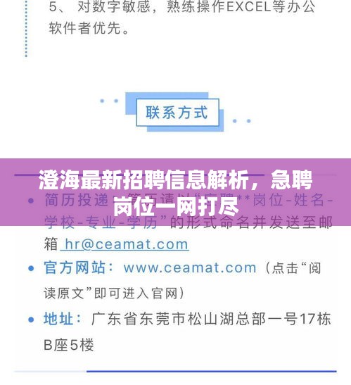 澄海最新招聘信息解析，急聘岗位一网打尽