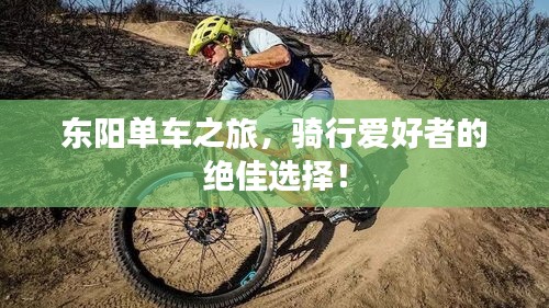 东阳单车之旅，骑行爱好者的绝佳选择！