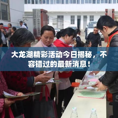 大龙湖精彩活动今日揭秘，不容错过的最新消息！