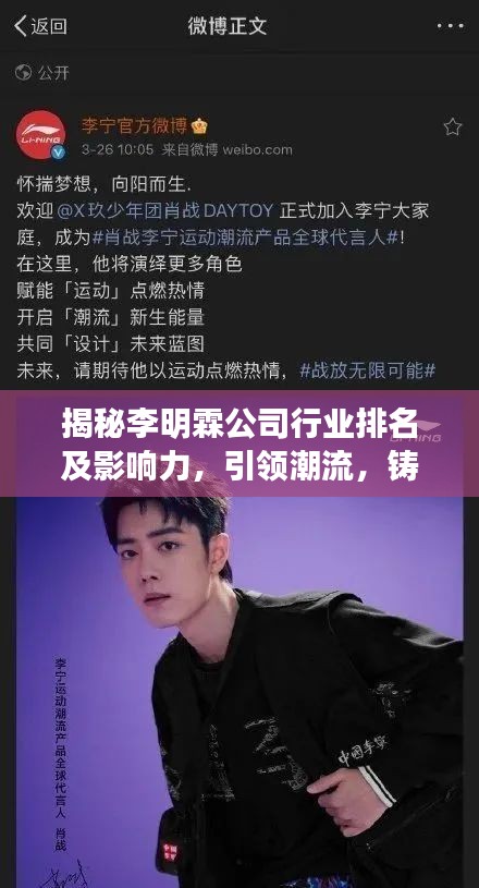 揭秘李明霖公司行业排名及影响力，引领潮流，铸就传奇！