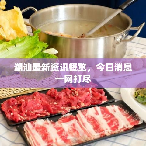 潮汕最新资讯概览，今日消息一网打尽