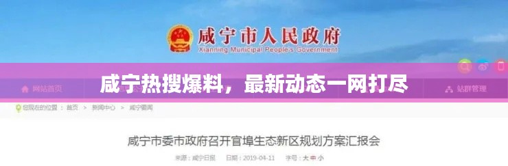 金石为开 第2页