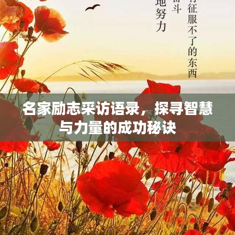 名家励志采访语录，探寻智慧与力量的成功秘诀