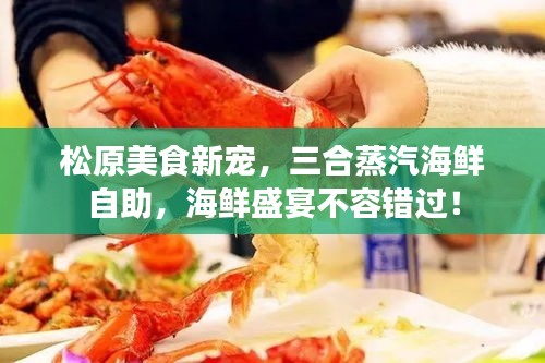 松原美食新宠，三合蒸汽海鲜自助，海鲜盛宴不容错过！
