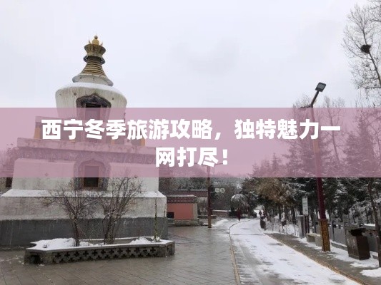 西宁冬季旅游攻略，独特魅力一网打尽！