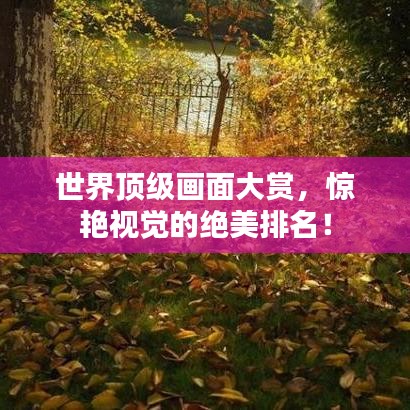 世界顶级画面大赏，惊艳视觉的绝美排名！