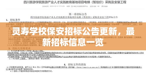 灵寿学校保安招标公告更新，最新招标信息一览