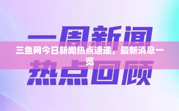 三鱼网今日新闻热点速递，最新消息一览