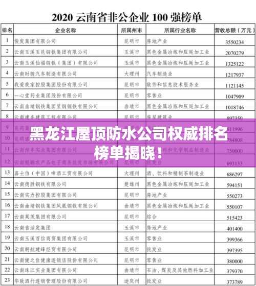 黑龙江屋顶防水公司权威排名榜单揭晓！