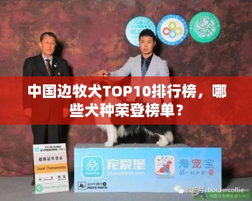 联系我们 第130页