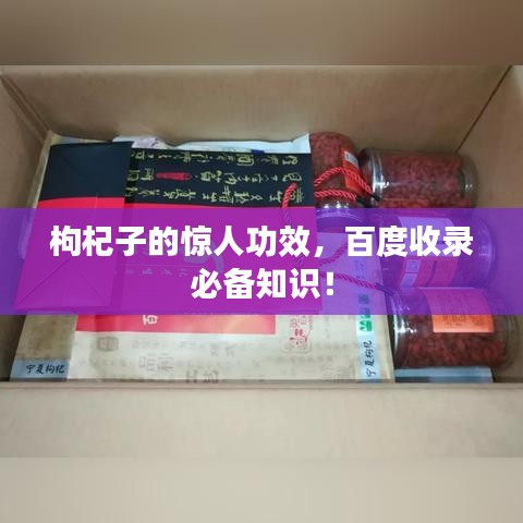 枸杞子的惊人功效，百度收录必备知识！