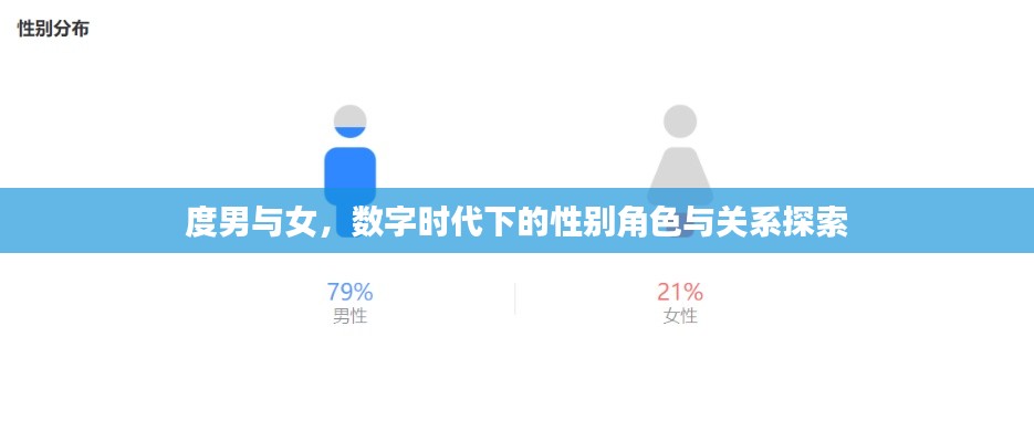 度男与女，数字时代下的性别角色与关系探索