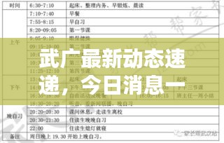 武广最新动态速递，今日消息一网打尽