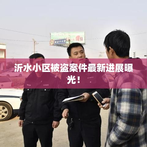 沂水小区被盗案件最新进展曝光！