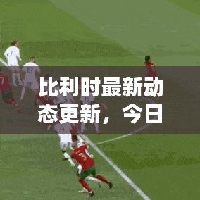 比利时最新动态更新，今日状况揭秘！