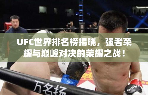 UFC世界排名榜揭晓，强者荣耀与巅峰对决的荣耀之战！