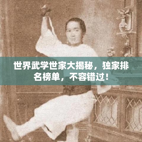 世界武学世家大揭秘，独家排名榜单，不容错过！