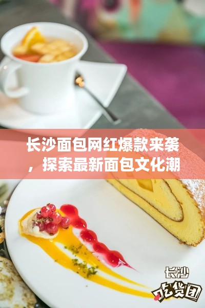 长沙面包网红爆款来袭，探索最新面包文化潮流