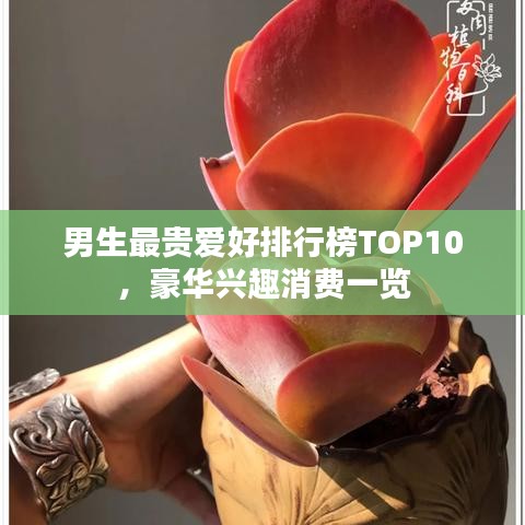男生最贵爱好排行榜TOP10，豪华兴趣消费一览
