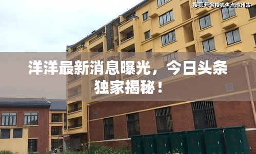 洋洋最新消息曝光，今日头条独家揭秘！