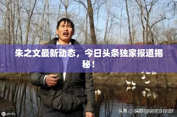 朱之文最新动态，今日头条独家报道揭秘！