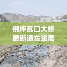 佛坪瓦口大桥最新通车进展，交通新里程碑诞生！
