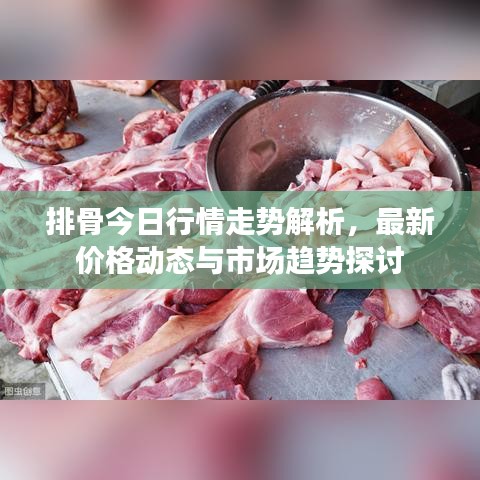 排骨今日行情走势解析，最新价格动态与市场趋势探讨