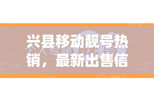 兴县移动靓号热销，最新出售信息一览
