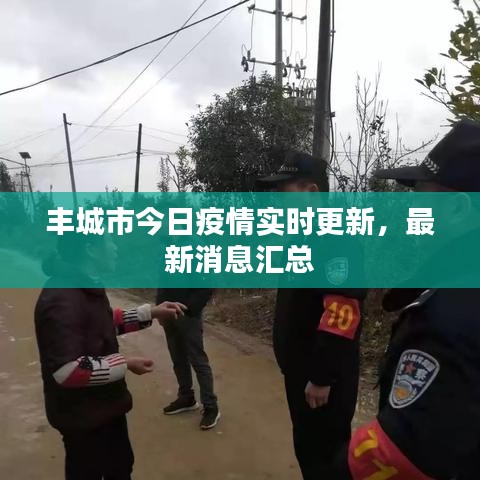 丰城市今日疫情实时更新，最新消息汇总