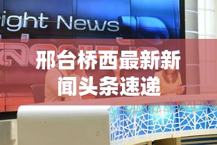 邢台桥西最新新闻头条速递