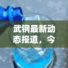 武钢最新动态报道，今日消息一览