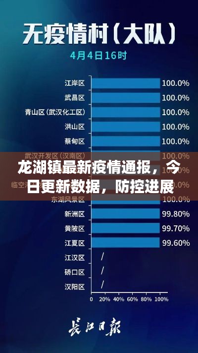 龙湖镇最新疫情通报，今日更新数据，防控进展速览