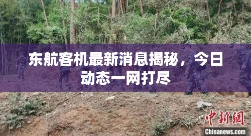 东航客机最新消息揭秘，今日动态一网打尽