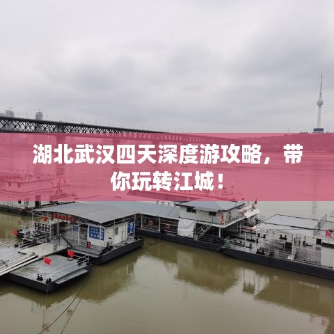 雍容华贵 第2页