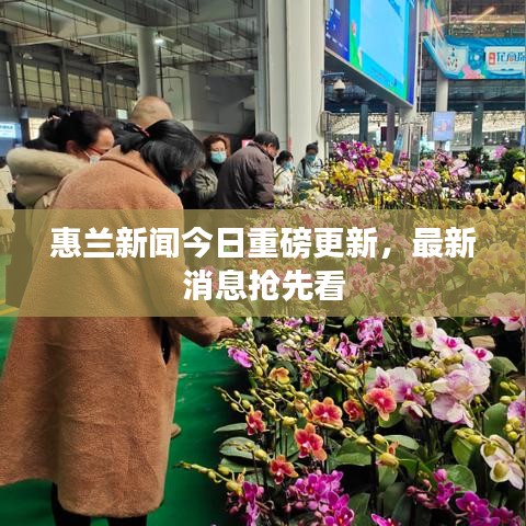 惠兰新闻今日重磅更新，最新消息抢先看