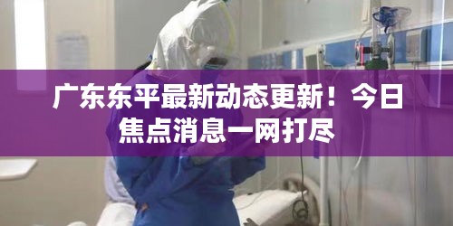 广东东平最新动态更新！今日焦点消息一网打尽